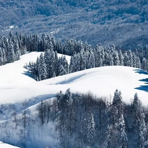 免费看裸体美女www
