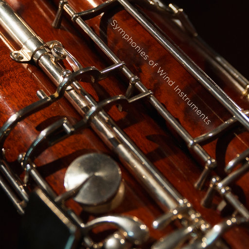 免费看裸体美女www
